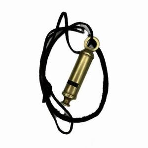 Bronze Whistle Necklace